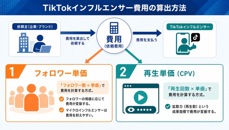 TikTok インフルエンサー